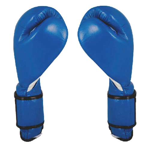 CLETO REYES Training Gloves with Leather Strap & Attached Thumb and Hook &  Loop Closure