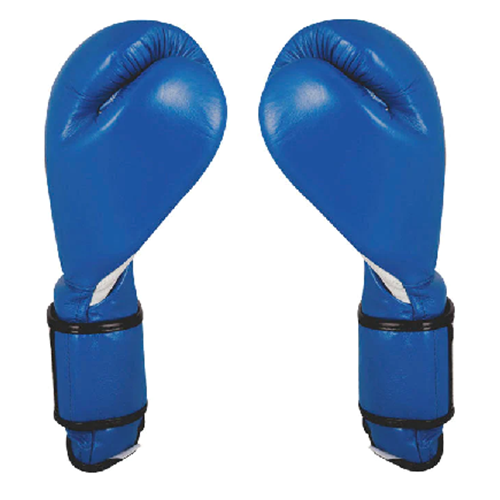 Hook & Loop Gloves (Blue) - Cleto Reyes